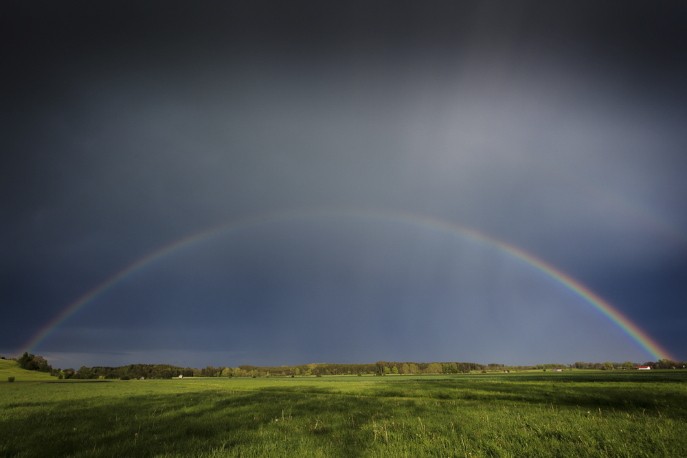 Platz 3 Josef Schafnitzel
